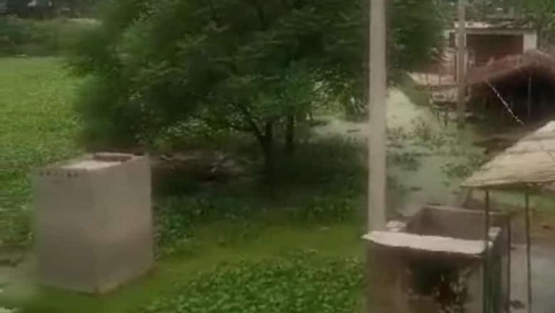 बारिश के पानी से उफनाया तालाब हुए कई परिवार प्रभावित फैल रही बीमारियां जिम्मेदार प्रशासन मौन