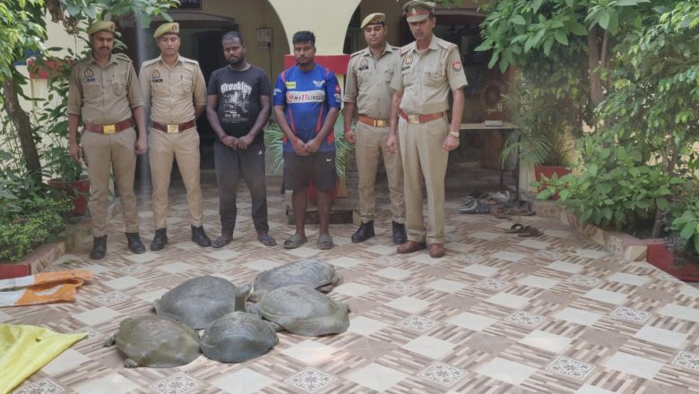कटरा पुलिस ने पकड़े दो कछुआ तस्कर कार में मिले 5 जिंदा कछुए