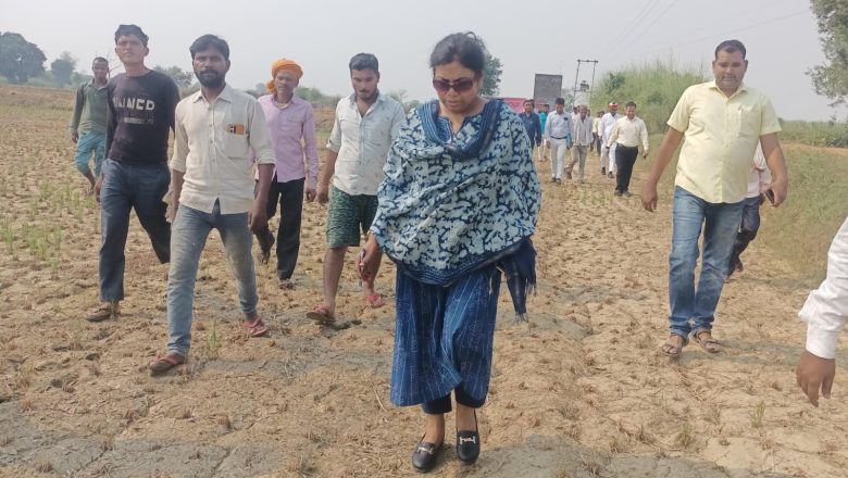 डीएम ने कराई क्रॉप कटिंग