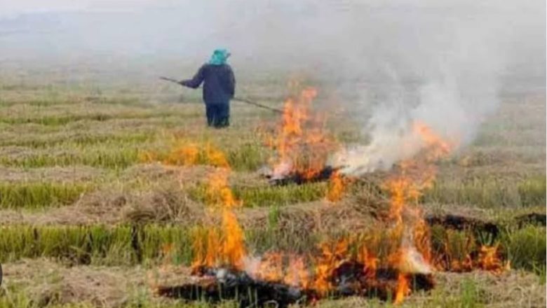 फसल अवशेष से बढ़ती है भूमि की उर्वरा शक्ति, जलाने पर होगी कड़ी कार्रवाई