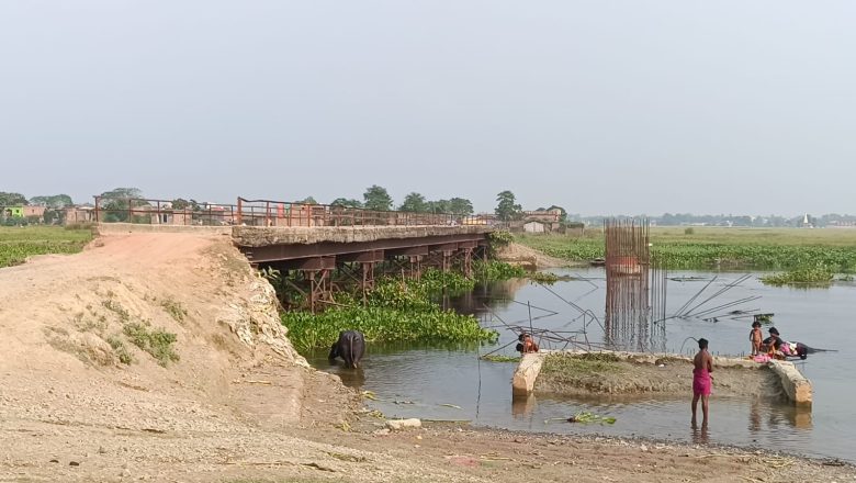 सहरसा।एक दशक पूर्व निर्मित स्क्रूपाइल पुल जर्जर, आवाजाही में हादसे की आशंका पुल के कई हिस्से में आ चुकी है दरार