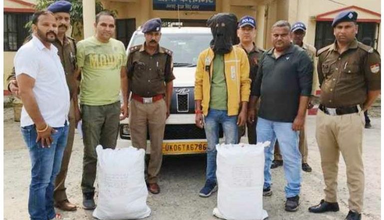ऊधमसिंहनगर।एसटीएफ की बड़ी कार्रवाई,37 किलो गांजे के साथ तस्कर गिरफ्तार