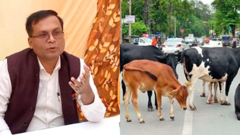 पालतू गोवंश यदि सड़क पर मिला तो मालिक पर लगेगा 20 हजार रुपए जुर्माना : डीएम