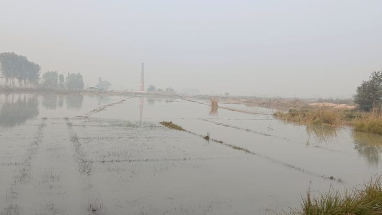 आजमगढ़ । फरिहा में नहर कट कट जाने से सैकड़ों एकड़ गेहूं के खेत हुए जलमग्र जल मग्न