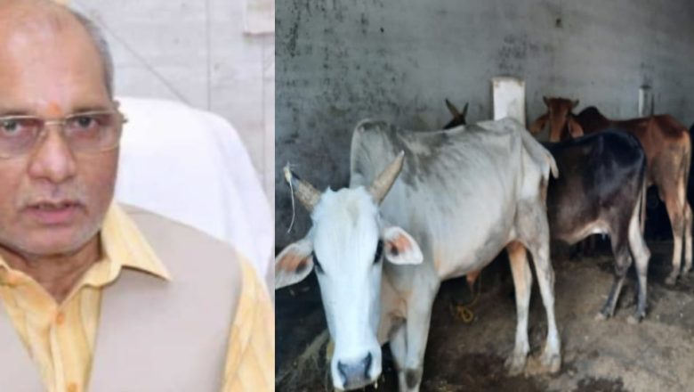 बरेली।सरकार में पशुधन मंत्री के क्षेत्र में बदहाल गौशालाएं ठंड के कारण दो दिन में कई गौवंशियों की हुई मौत , हुआ हंगामा