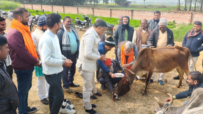 आजमगढ़।कस्बा सराय गौशाला में विहिप गोरक्षा विभाग ने गोवंशों को ठंड से बचाने के लिए वितरित किए बोरे।