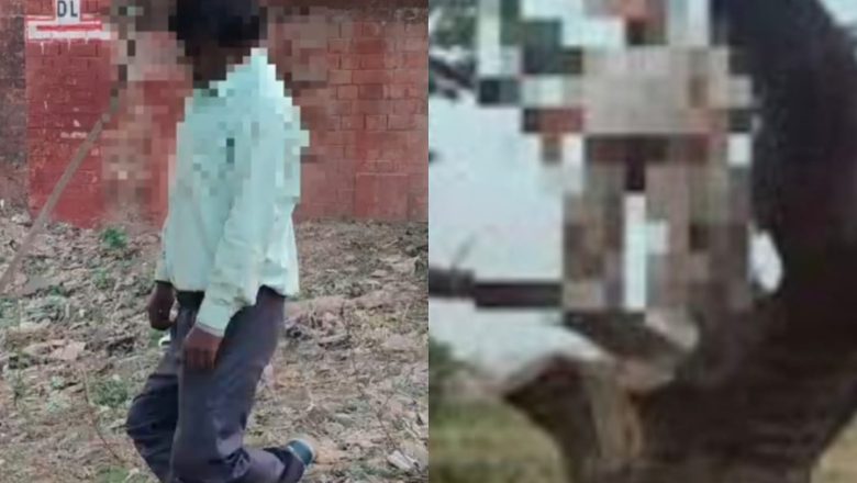 शाहजहांपुर ।एक ही दिन में अलग अलग स्थानों पर फंदे से लटकते मिले अधिवक्ता और युवक के शव