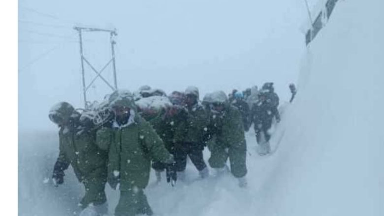 उत्तराखंड (चमोली)।माणा गांव हादसा, हेल्पलाइन नंबर जारी, मुख्यमंत्री ने की राहत बचाव कार्य की समीक्षा