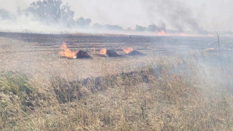 बलिया।थाना नगरा क्षेत्र के विभिन्न गांवों में लगी भयानक आग, उठीं लपटें अफरा-तफरी