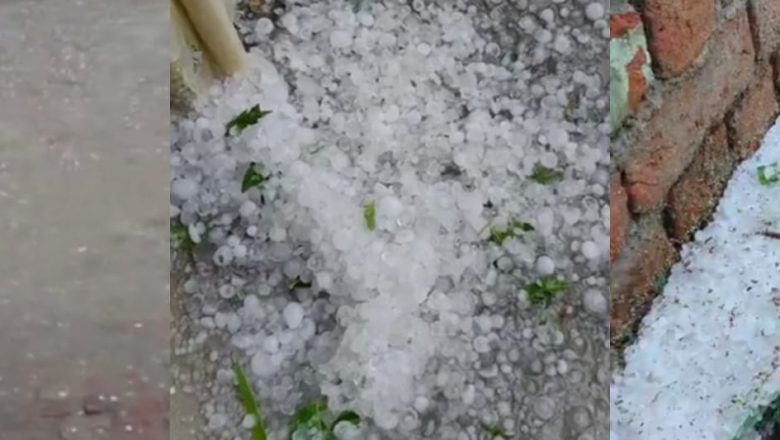 लखीमपुर।अचानक बदला मौसम और बिछ गई सफेद बर्फ की चादर भीषण ओलावृष्टि से गन्ना मक्का आम की फसल हुई बर्बाद