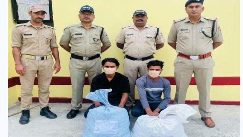 अल्मोड़ा।गाड़ी में सब्जी नहीं, गांजा था…पहाड़ से की जा रही थी तस्करी