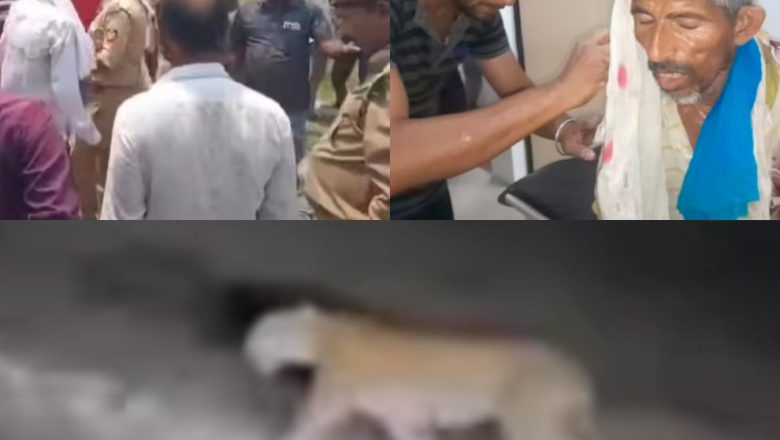 शाहजहांपुर ।खुटार में खेत पर काम कर रहे किसान पर बाघ ने किया हमला लोगो ने दौड़ कर बचाई जान गंभीर घायल