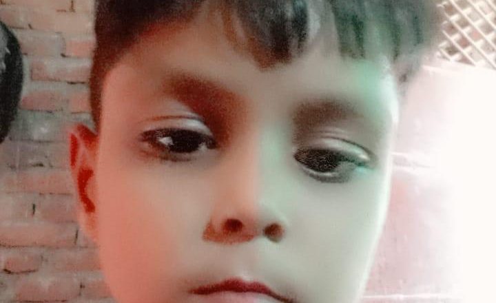 आजमगढ़।सर्प दंश से नौवर्षीय बालक की ननिहाल में मौत , छाया मातम 