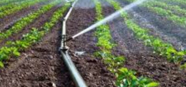 बदायूँ।ड्रिप सिंचाई से 50 प्रतिशत पानी की बचत, उत्पादन में होती है 25 प्रतिशत तक की वृद्धि