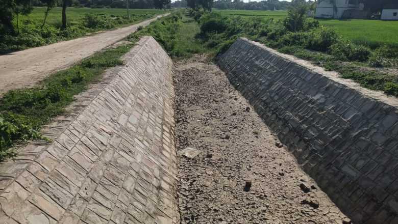 भदोही।गड़ौरा रजवाहा में पानी की कमी से किसानों की धान की फसल संकट मे।