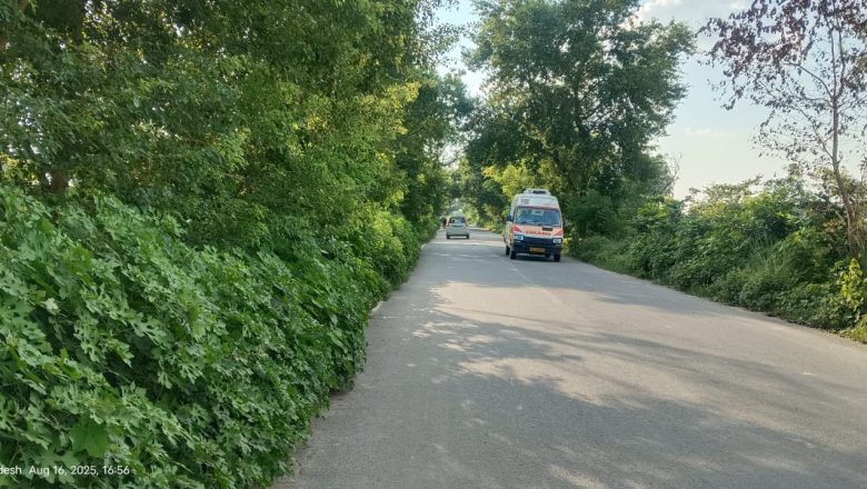 आजमगढ़।रोड के दोनों तरफ खरपतवार दे रहे हैं दुर्घटना को बढ़ावा।