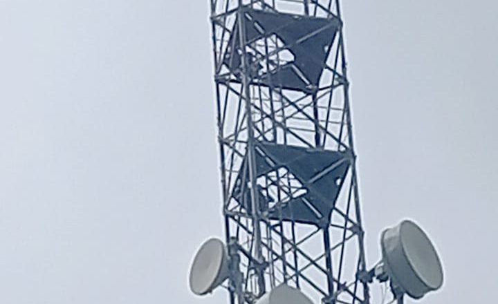 भदोही।प्रेमिका से शादी न होने से आहत प्रेमी ने मोबाइल टावर पर चढ़कर जान देने का किया हाई वोल्टेज ड्रामा। मौके पर पहुंची प्रशासन समझाने बुझाने में जुटी।