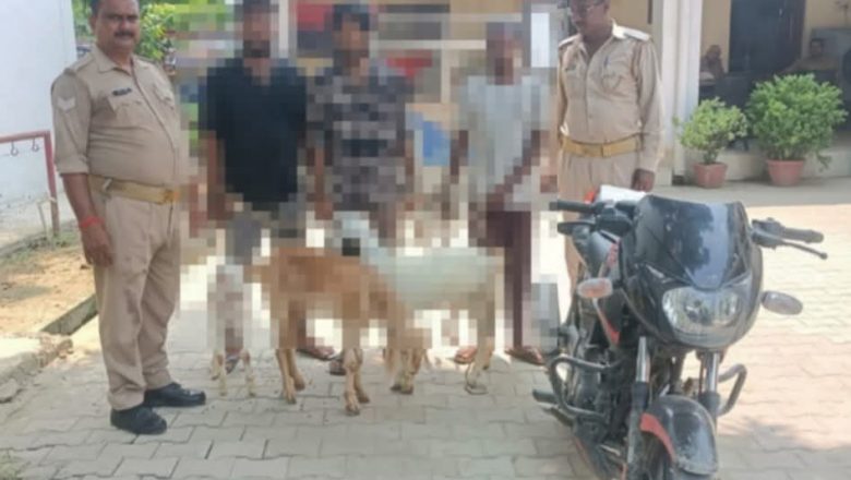 जौनपुर।खुटहन पुलिस ने चोरी का किया खुलासा, तीन चोर गिरफ्तार, तीन बकरियां व पल्सर बरामद।