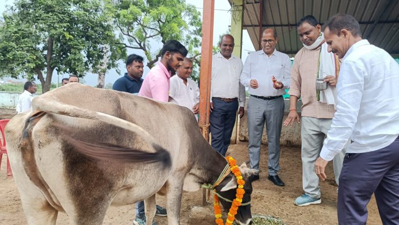 भदोही।मातृ नवमी पर अभोली में सीडीओ ने किया गुड़ चना ,केला आदि खिलाकर तथा तिलक लगाकर माला पहनकर किया गौ पूजन, गौशाला का लिया जायजा।