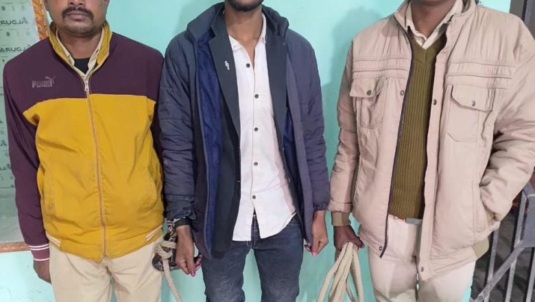 सहरसा (बिहार)।एलएंडटी फाइनेंस कर्मी से लूट मामले में एक आरोपी गिरफ्तार, न्यायालय भेजा गया।