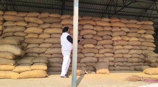 बदायूँ।उझानी मंडी समिति से 130 कट्टे धान चोरी, आढ़तियों ने किया प्रदर्शन